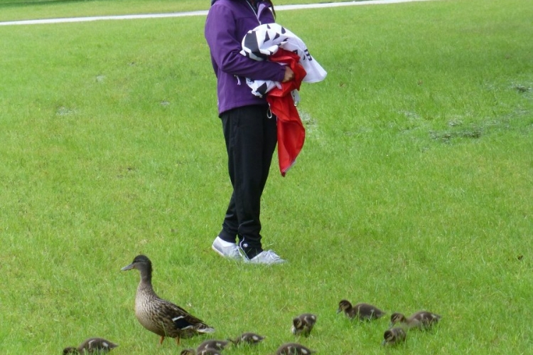 2013_klagenfurt_008.jpg
